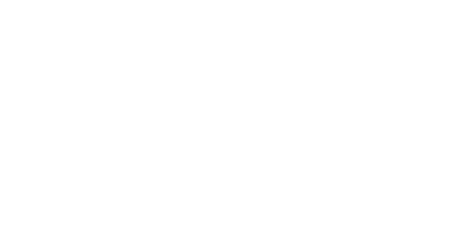 NWI Boudoir full logo white